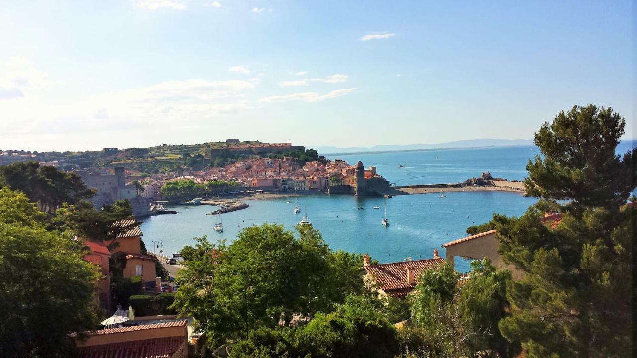 4Amb2 Villa De Caractere Avec Piscine Collective Collioure Exterior foto